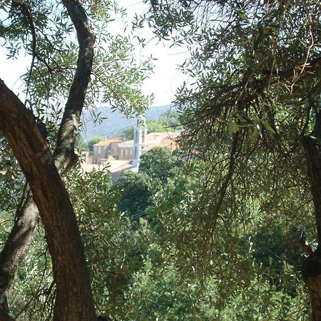 Costa Di Sognu Villa Eksteriør bilde