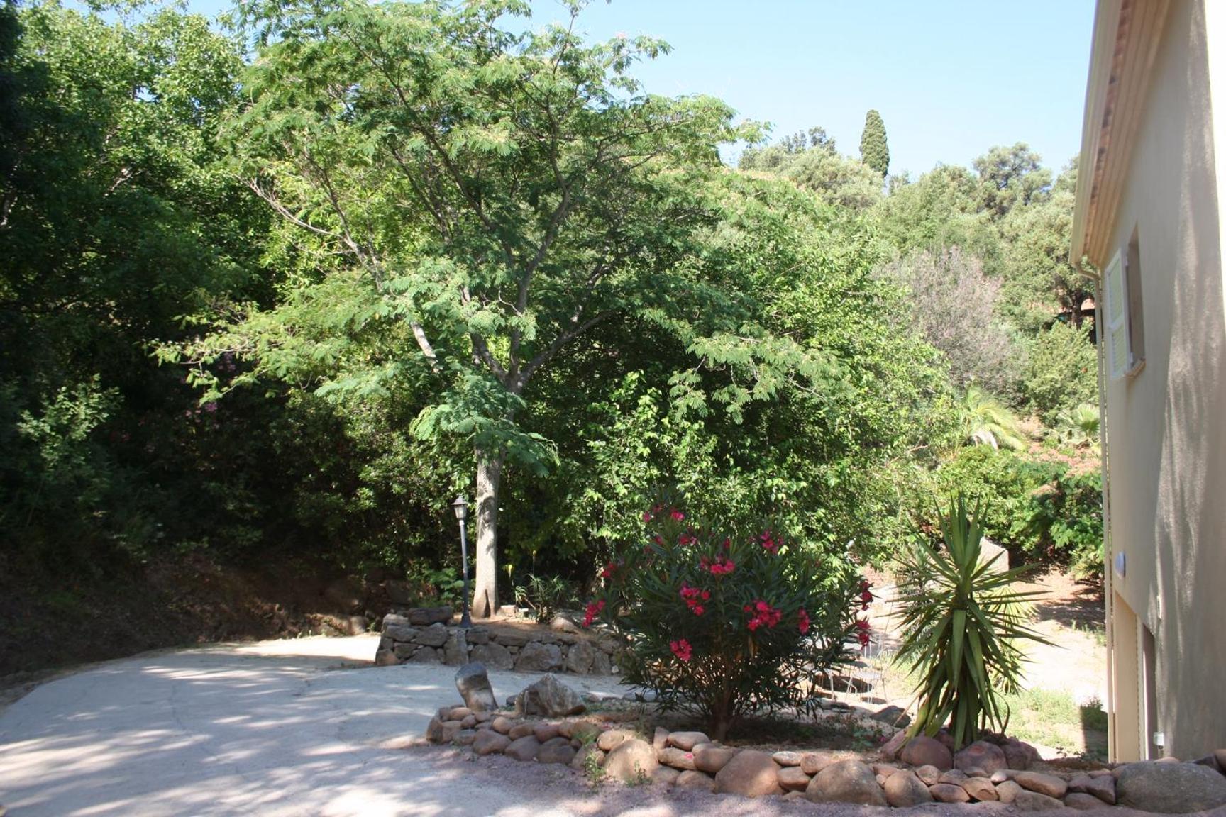 Costa Di Sognu Villa Eksteriør bilde