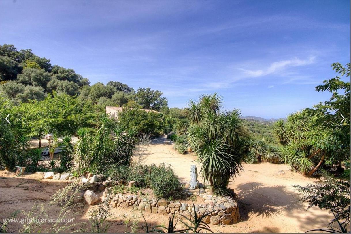 Costa Di Sognu Villa Eksteriør bilde