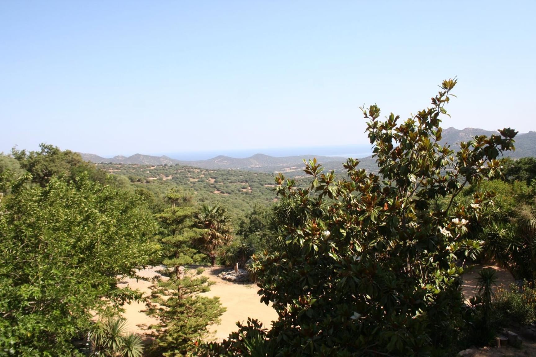 Costa Di Sognu Villa Eksteriør bilde