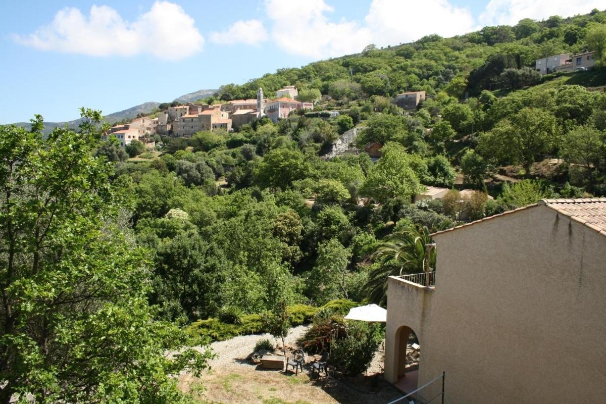 Costa Di Sognu Villa Rom bilde