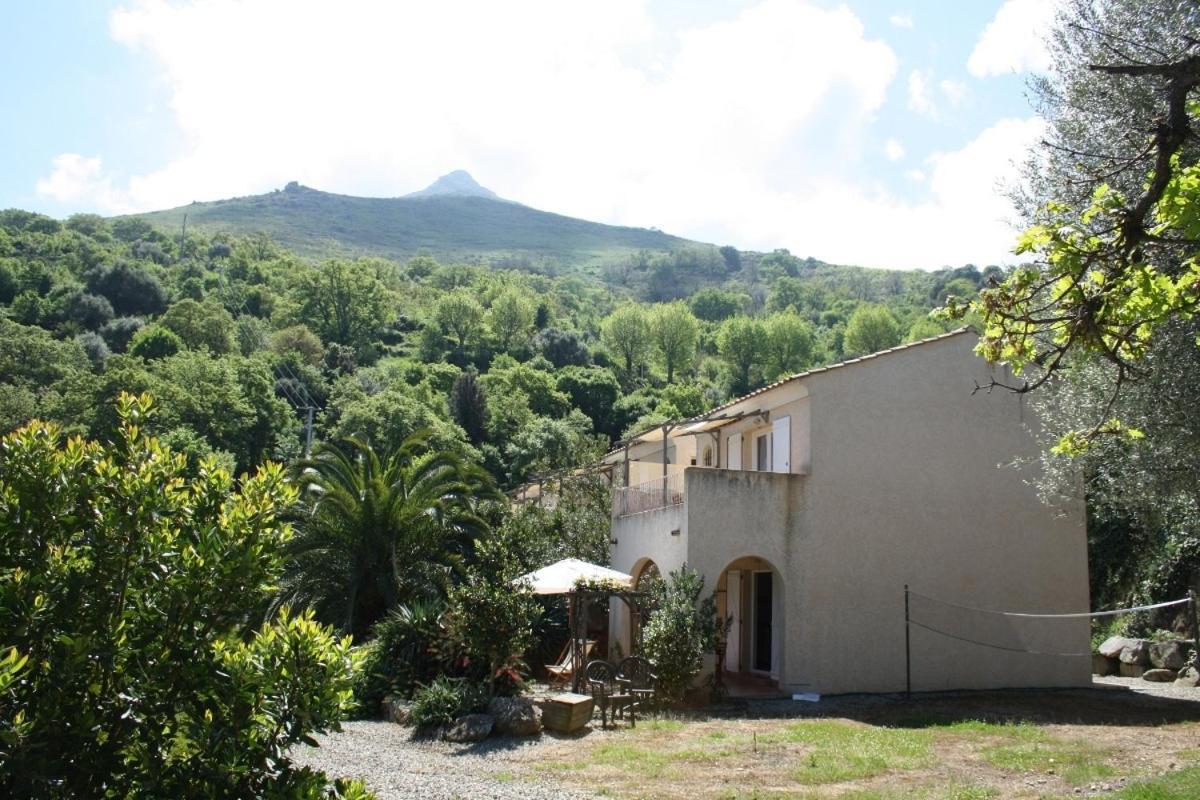 Costa Di Sognu Villa Rom bilde